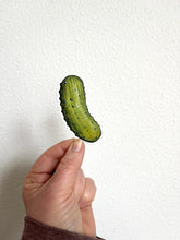 Load image into Gallery viewer, Pickle Gifts, Pickle Art Sticker, Vinyl Sticker, 3 inch, FREE SHIPPING