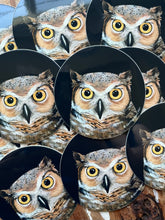 Load image into Gallery viewer, Owl Portrait Art Sticker, Round Vinyl Sticker, FREE SHIPPING