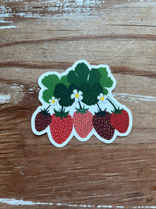 Strawberries Print Sticker, Vinyl Sticker, 3 inch, FREE SHIPPING