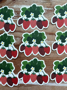 Strawberries Print Sticker, Vinyl Sticker, 3 inch, FREE SHIPPING
