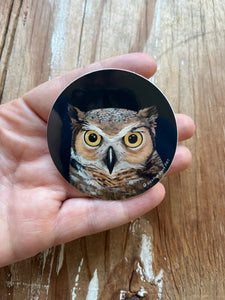 Owl Portrait Art Sticker, Round Vinyl Sticker, FREE SHIPPING