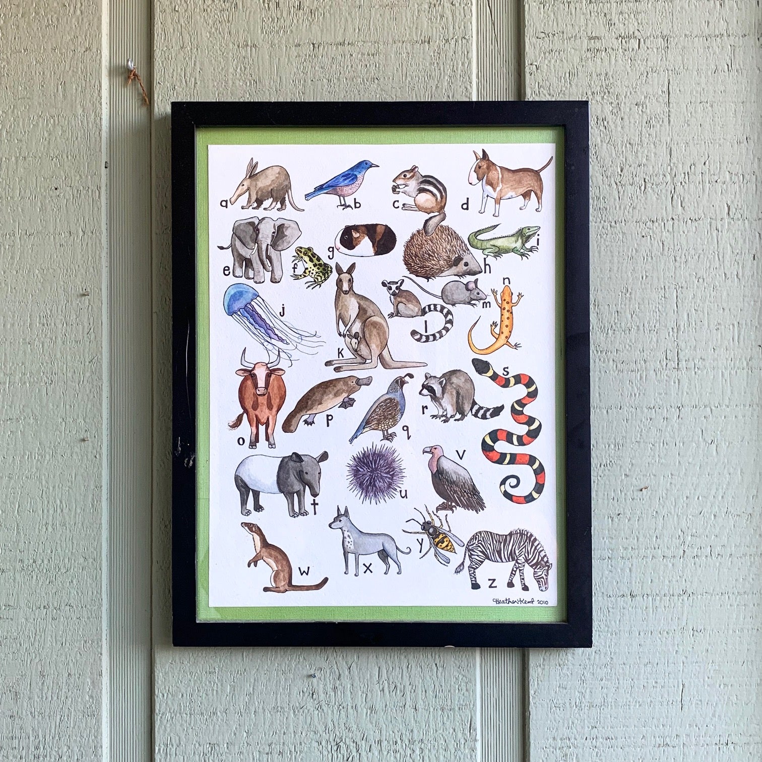 Watercolor Workbook  Animals – The Net Loft