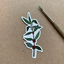 Load image into Gallery viewer, Coffee Plant Print Sticker, Vinyl Sticker, 3 inch, FREE SHIPPING