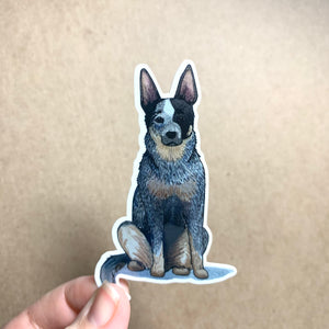 Queensland Heeler Dog Vinyl Stickers, 3 inch, Doggos Sticker, Blue Heeler / Australian Cattle Dog